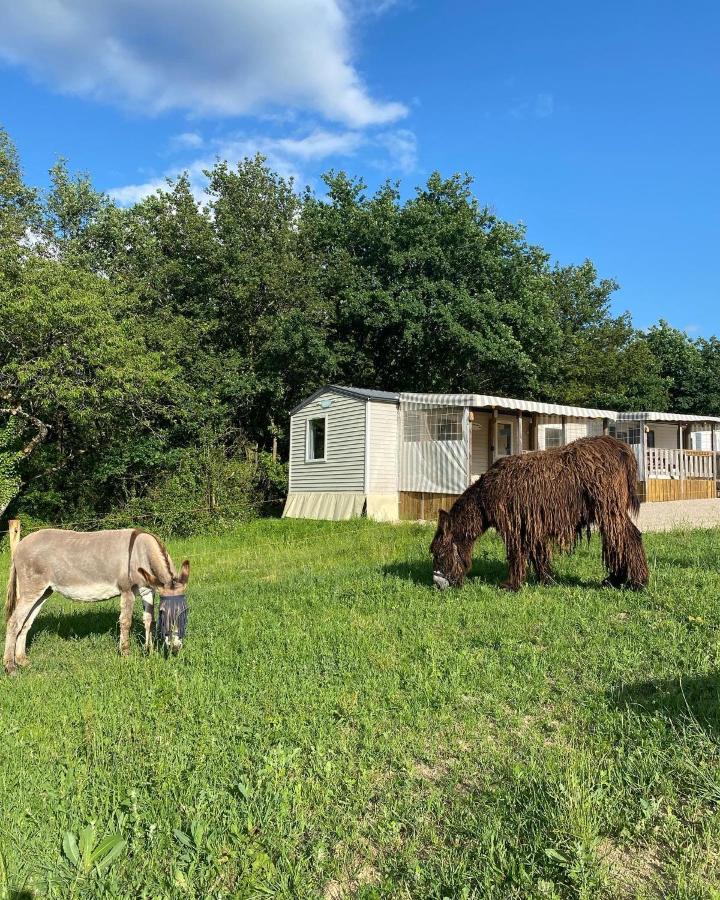 Camping De La Ferme Aux ânesses, Mobil Sofia2 Bressuire